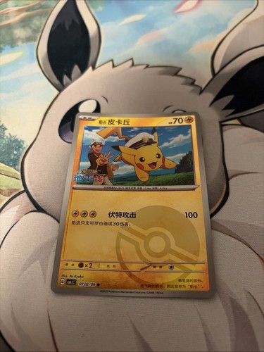 Pokémon captain pikachu - pokémon,