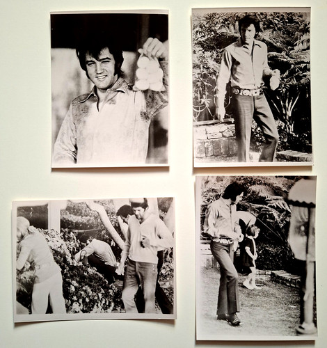 Elvis presley easter egg - elvis,
