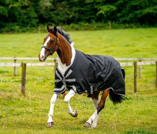 Horseware amigo bravo - 12, xl