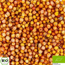 100g Sanddornbeeren Bio ganz