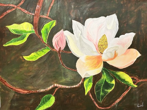 Magnolienblüte blumenmotiv - magnolienblüte,
