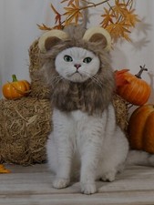 Größe M Löwe Katzenperücke kleiner Hund Katzen Kostüm Perücke Kappe Mütze für Katze Hunde Halloween
