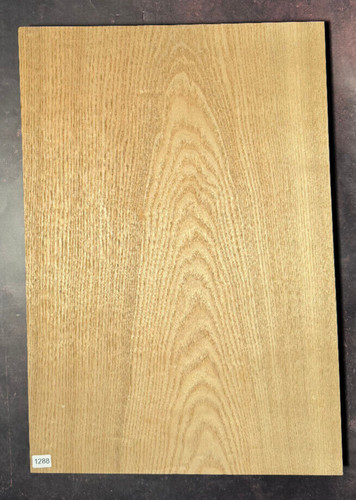 Sassafras gitarren korpus - korpus, |