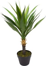 mucplants künstliche Yucca