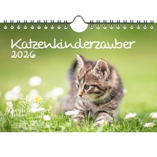 Katzenkinderzauber DIN A5
