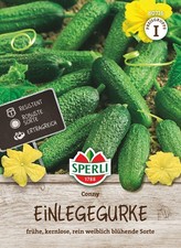 Conny F1 Einlegegurkensamen