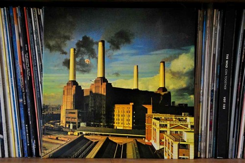 Pink floyd animals album - pink, lp