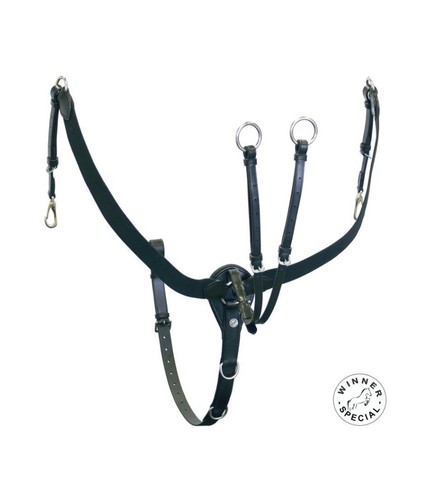 Leder und elastisches