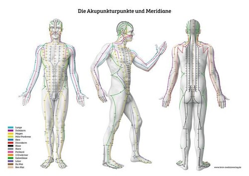 Lernposter die - –,