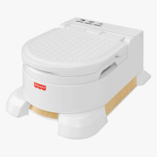 Fisher price platinum - platinum, 4-in-1