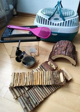 🐹🐭🐀🐿️Hamster