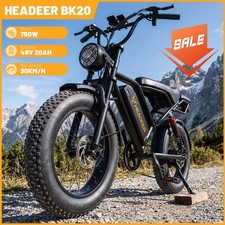 250W Fat Tire E-Bike 48V 20Ah