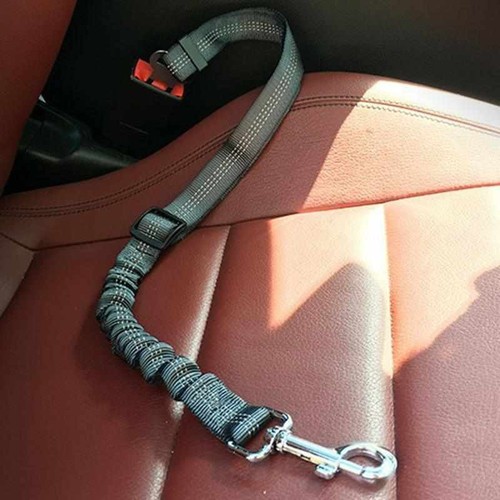 Sicherheitsgurt hunde auto - hunde,