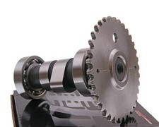 Nockenwelle Naraku Sport A8