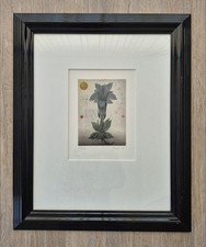 Alois Janak; Orig. Radierung