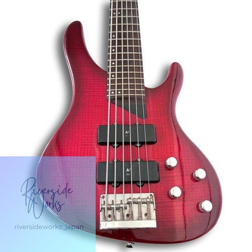Seltener washburn 600 - washburn, xb-600