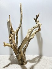 Talawa Wurzel XXL ähnlich