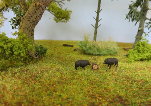 Eber und bache spur - (, )