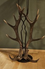 Postament mit Abwurfstangen vom Rothirsch - Dekoration