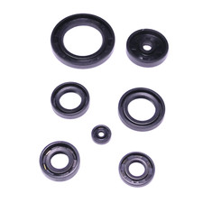 Motor Simmering Satz für