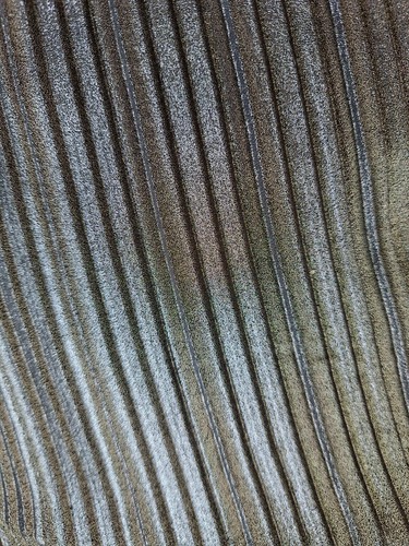 Plissee chiffon stoff - chiffon,,