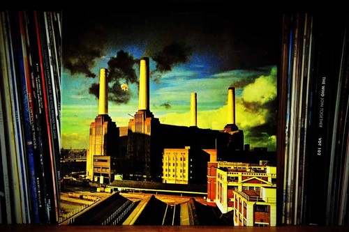 Pink floyd animals album - floyd, lp