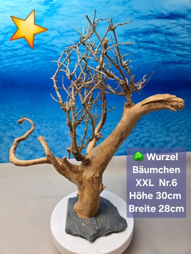 Aquarium wurzel bonsai - 🌳aquarium,