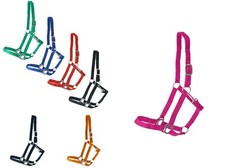 Halfter Nylonhalfter  rot blau