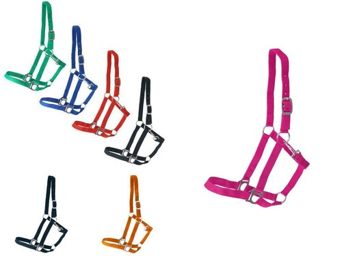 Halfter nylonhalfter rot blau - halfter,