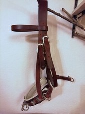 Stabiler Leder Kappzaum für Kaltblüter 