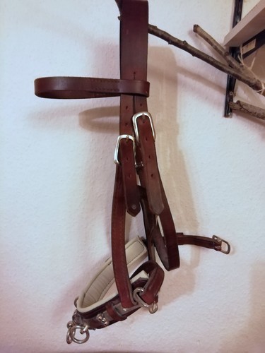 Stabiler leder kappzaum - stabiler, für