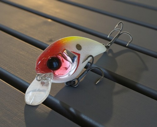 Illex jackall mushbob sr - jackall, 50