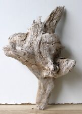 Treibholz Schwemmholz