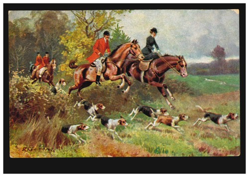 Tiere fuchsjagd mit pferd - fuchsjagd,
