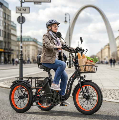 Zoll elektrofahrrad 750w - 20*3,