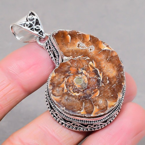 Ammonit fossil edelstein - fossil,