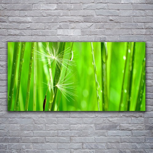 Acrylglasbilder wandbilder - acrylglasbilder,