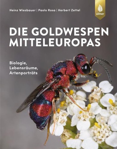 Die goldwespen mitteleuropas - goldwespen,