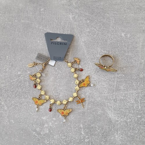 Pilger set schmetterling - pilger,