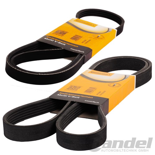 Conti keilrippenriemen - 2x,