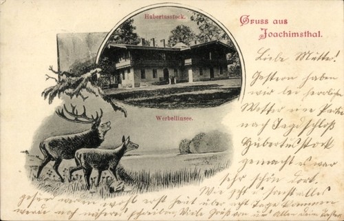 Joachimsthal der - joachimsthal, in