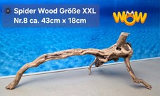 👋XXL Moorkien - Spiderwood