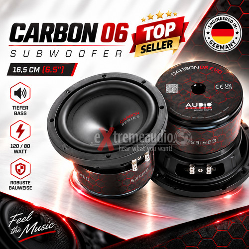 Audio system carbon - carbon, 06