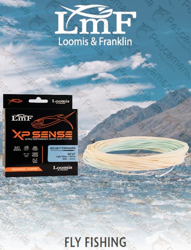 Lmf loomis franklin - xp, sense