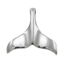 Peter stone 925 silber - stone,