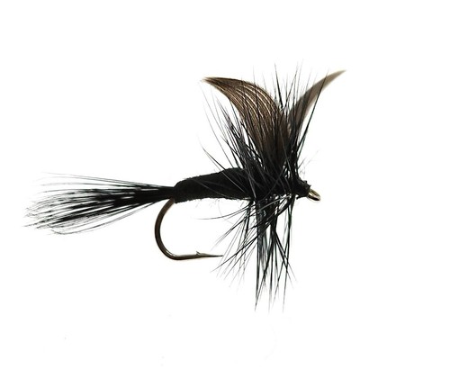 Black gnat trockenfliegen - black,