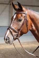 % Harry´s Horse Trense Soft braun/cognac gepolstert UVP €69,95 %