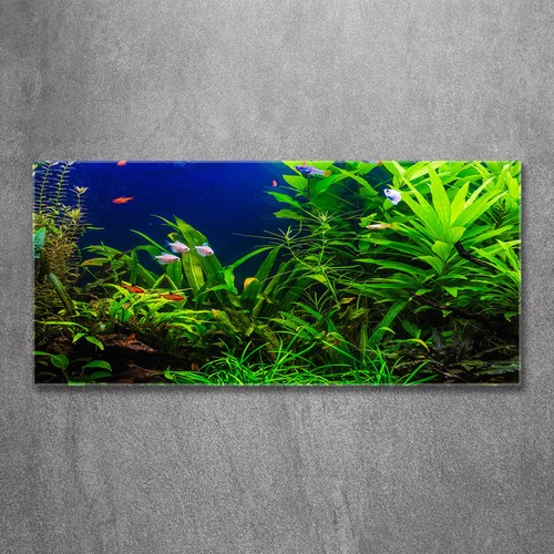 Glas bild wandbilder - glas-bild,
