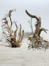 Aquariumwurzel, Etosha Tree ,  Mangrove, Garnelenbaum SET 2 Stück #1728