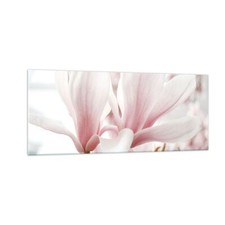 Wandbilder 100x40cm Glasbild